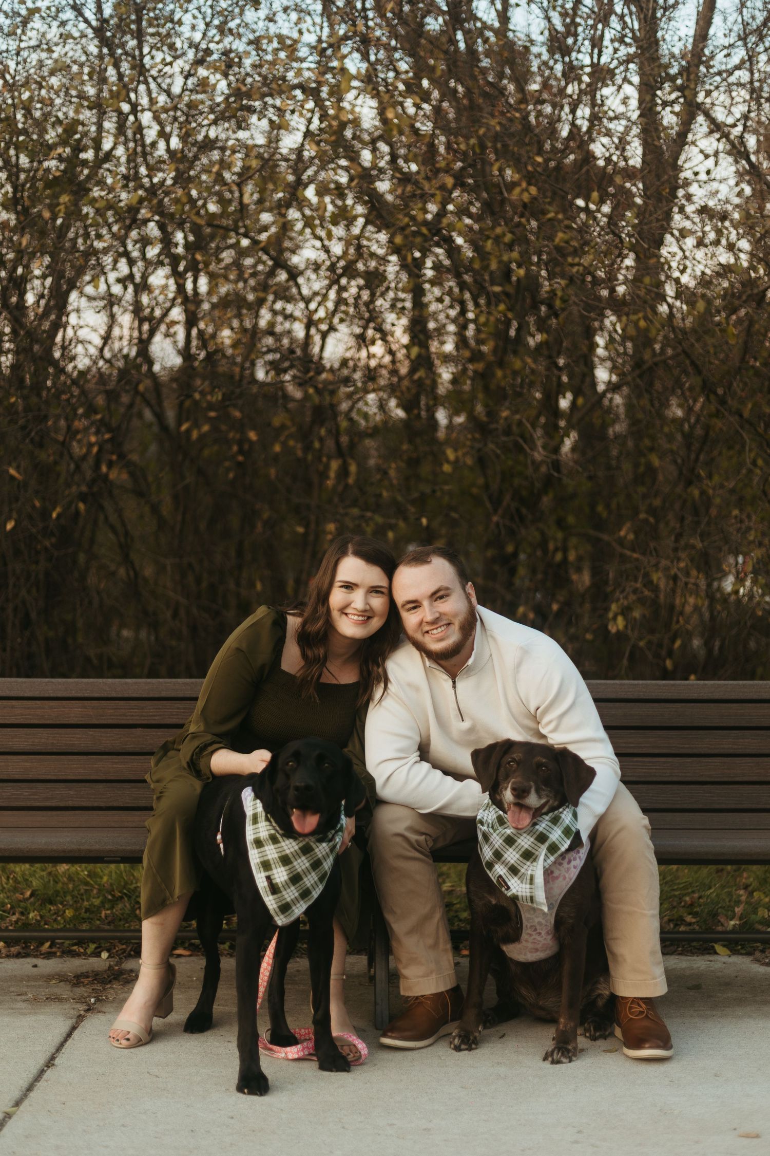 Ann Arbor Michigan couples photography session at a park during golden hour with a couple sitting on a bench with their dogs