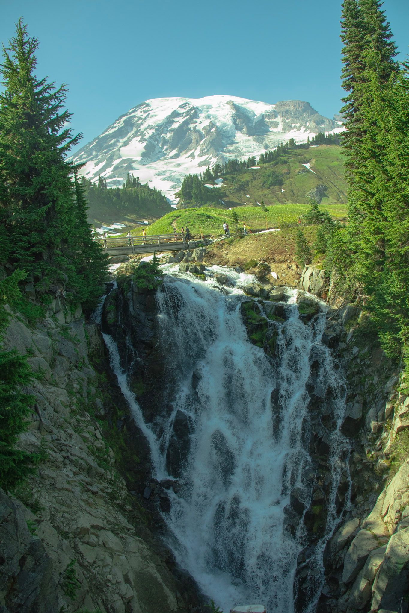 Waterfall flowing beneath Mount Rainier with wildflower meadows, alpine forest, and snow-capped peak.