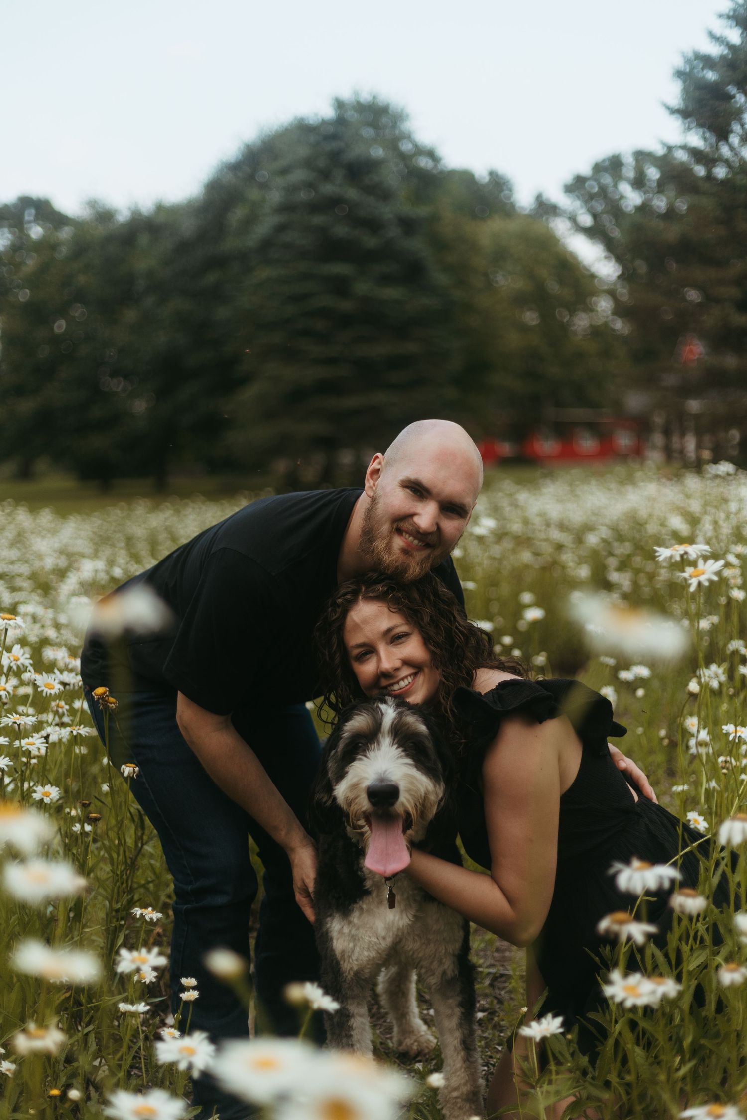 Couple embracing in a wildflower field with their dog during a couples session with a Southeast Michigan photographer near Detroit.