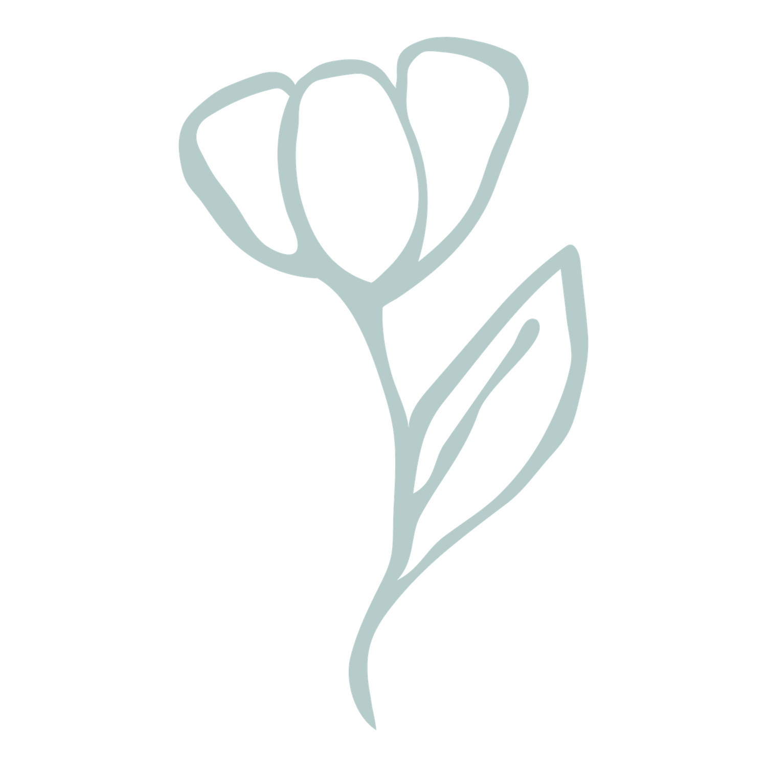 Allison Brooke Photography Favicon