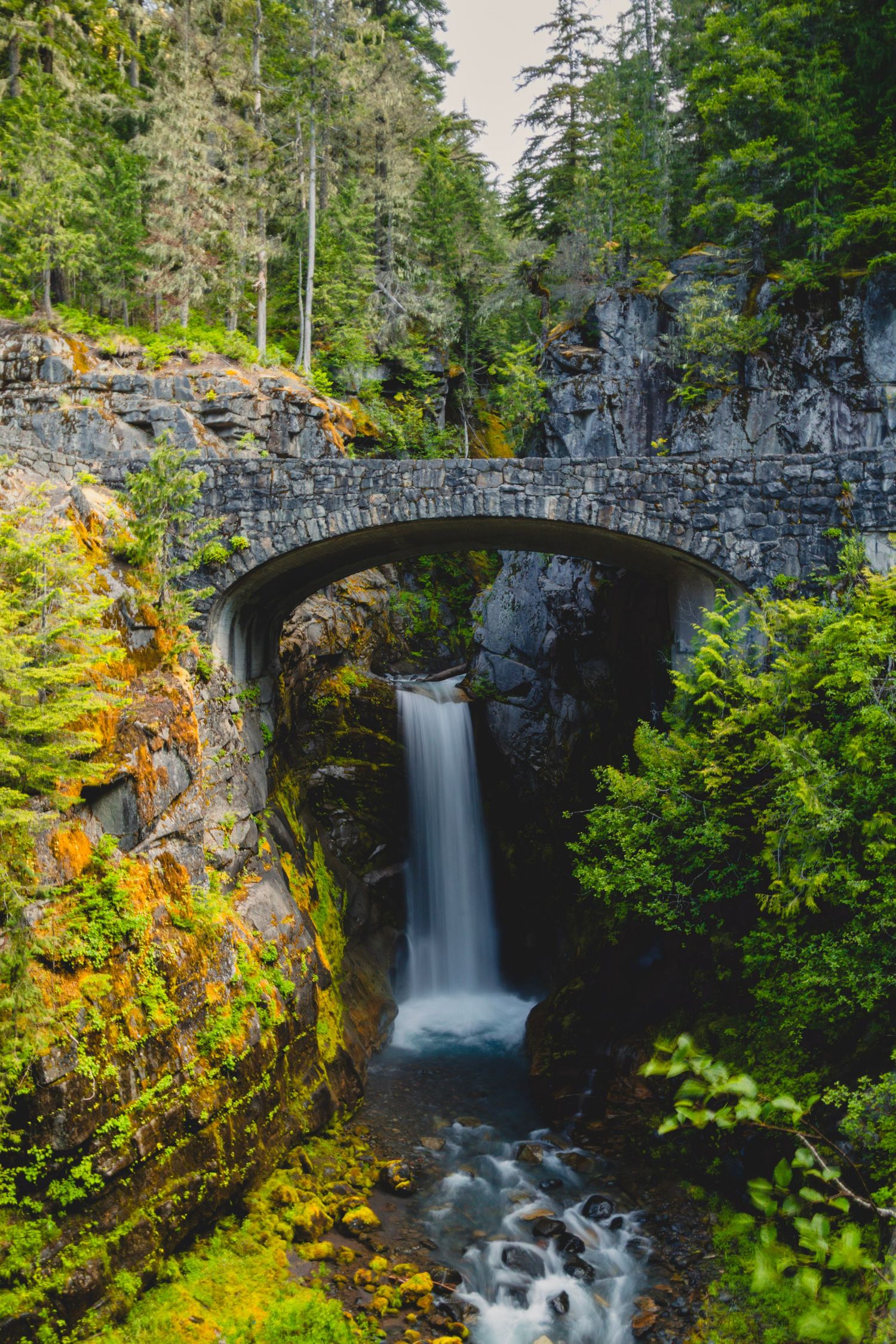 Stone bridge over a forest waterfall in Washington surrounded by lush greenery and moss-covered rocks
