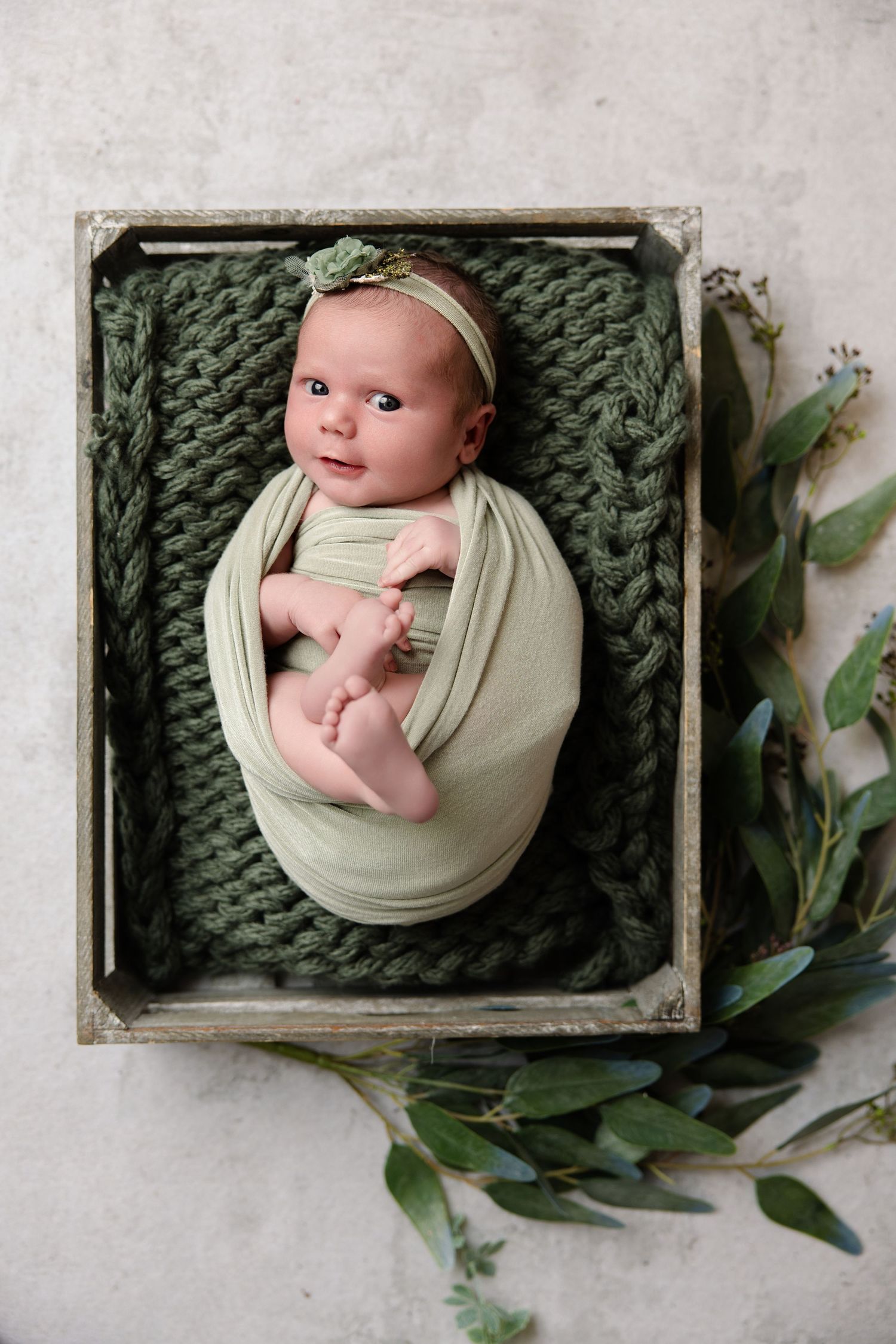Newborn baby wrapped in sage green swaddle lying in a wooden crate with knit blanket and eucalyptus. Studio near Oceanside