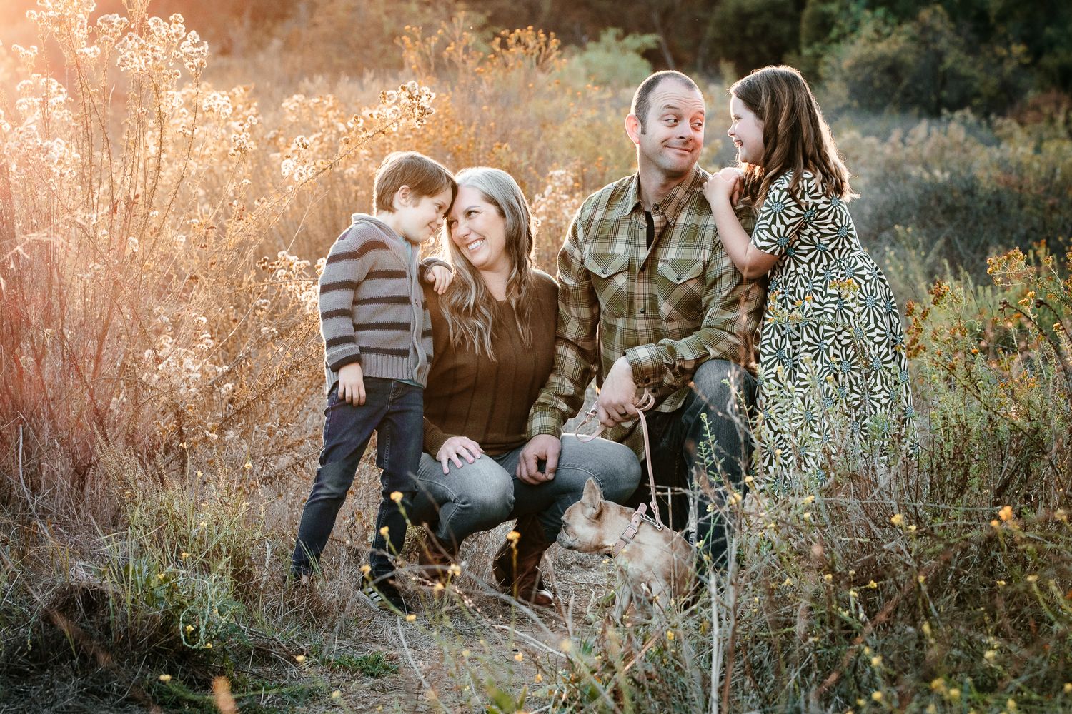 Family of four with dog sitting in golden field during sunset, sharing joyful moments together.