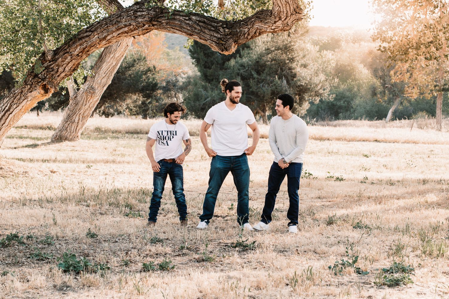 Three young men pose casually under a leaning tree in a sunny open field.