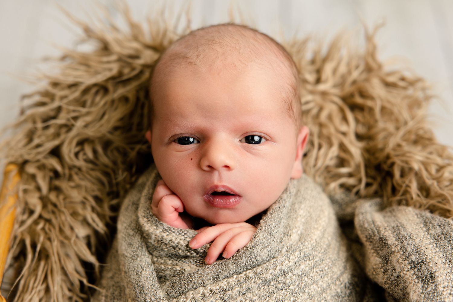 Newborn baby wrapped in a soft knit swaddle, resting in a fluffy basket during a professional newborn photo session.