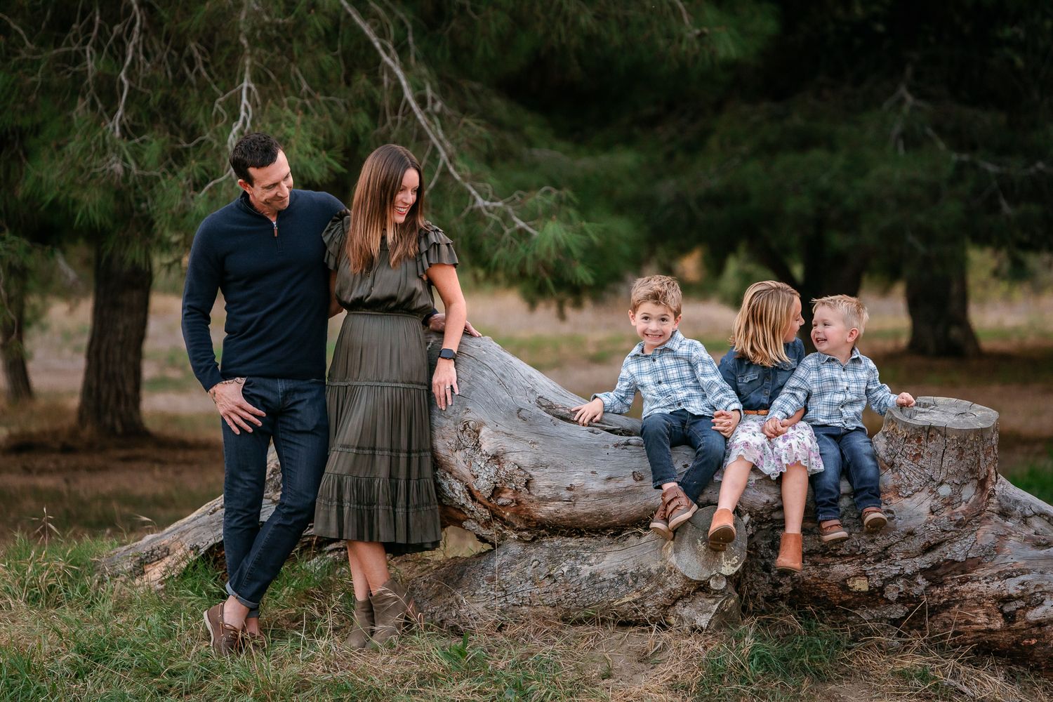 Family with three children posing around large tree stump in pine forest setting.  In Bonsall, near Oceanside