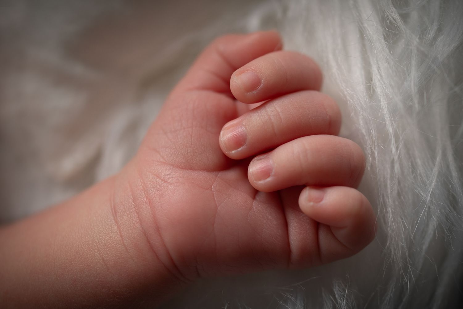 Carlsbad CA newborn photography studio offering posed baby portraits with wraps and props by Sarah Bracci Photographics.