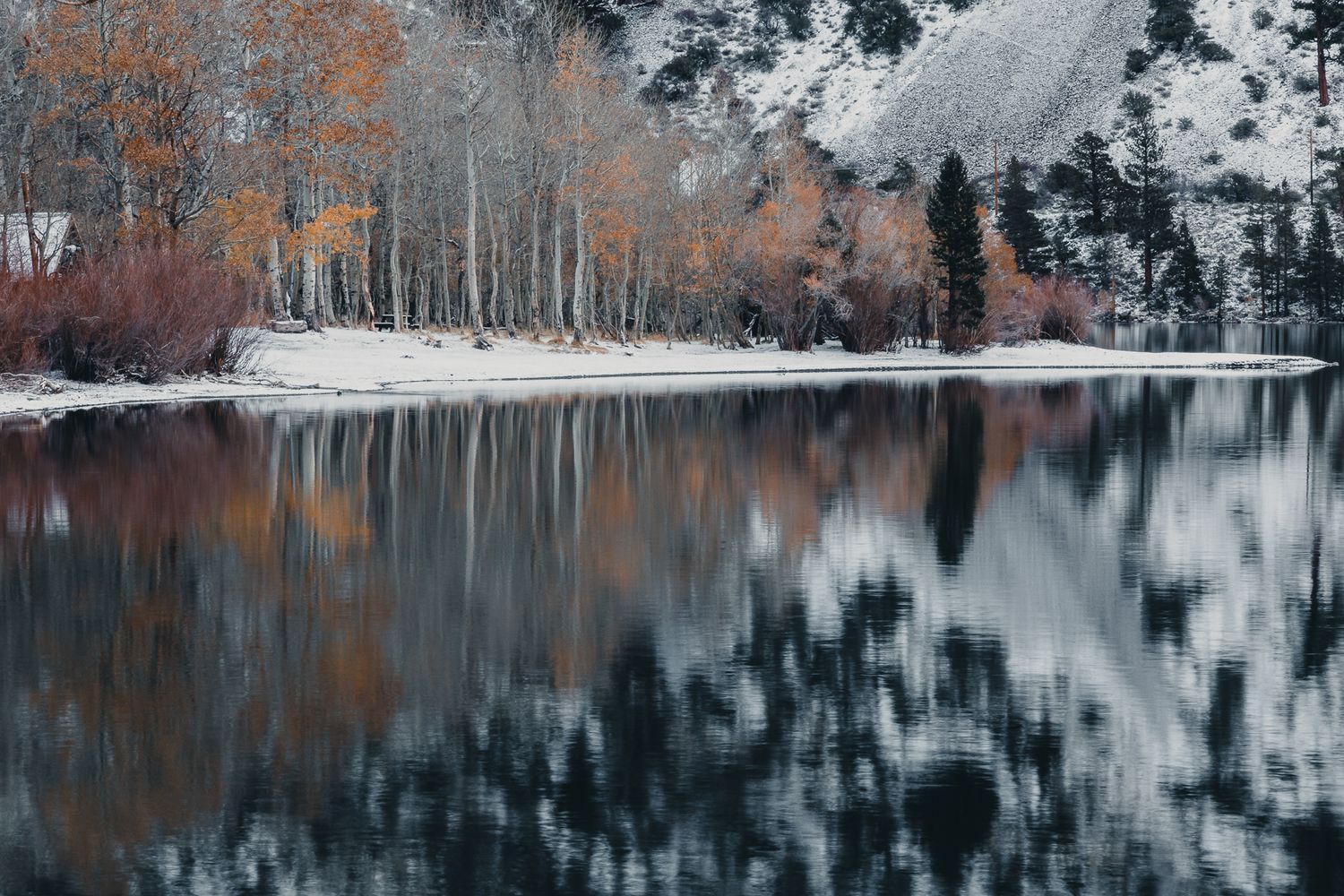 Snow-dusted autumn trees reflect in a calm mountain lake during winter, showcasing vibrant orange foliage against a misty backdrop