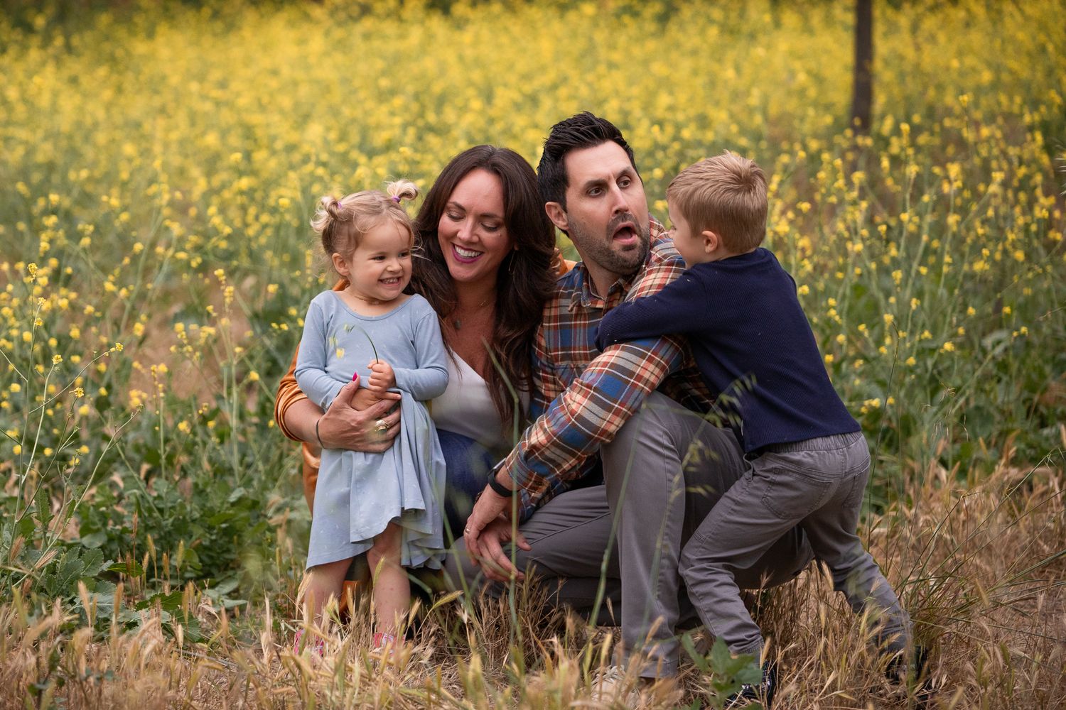 Playful family of four laughing together in vibrant yellow wildflower field.