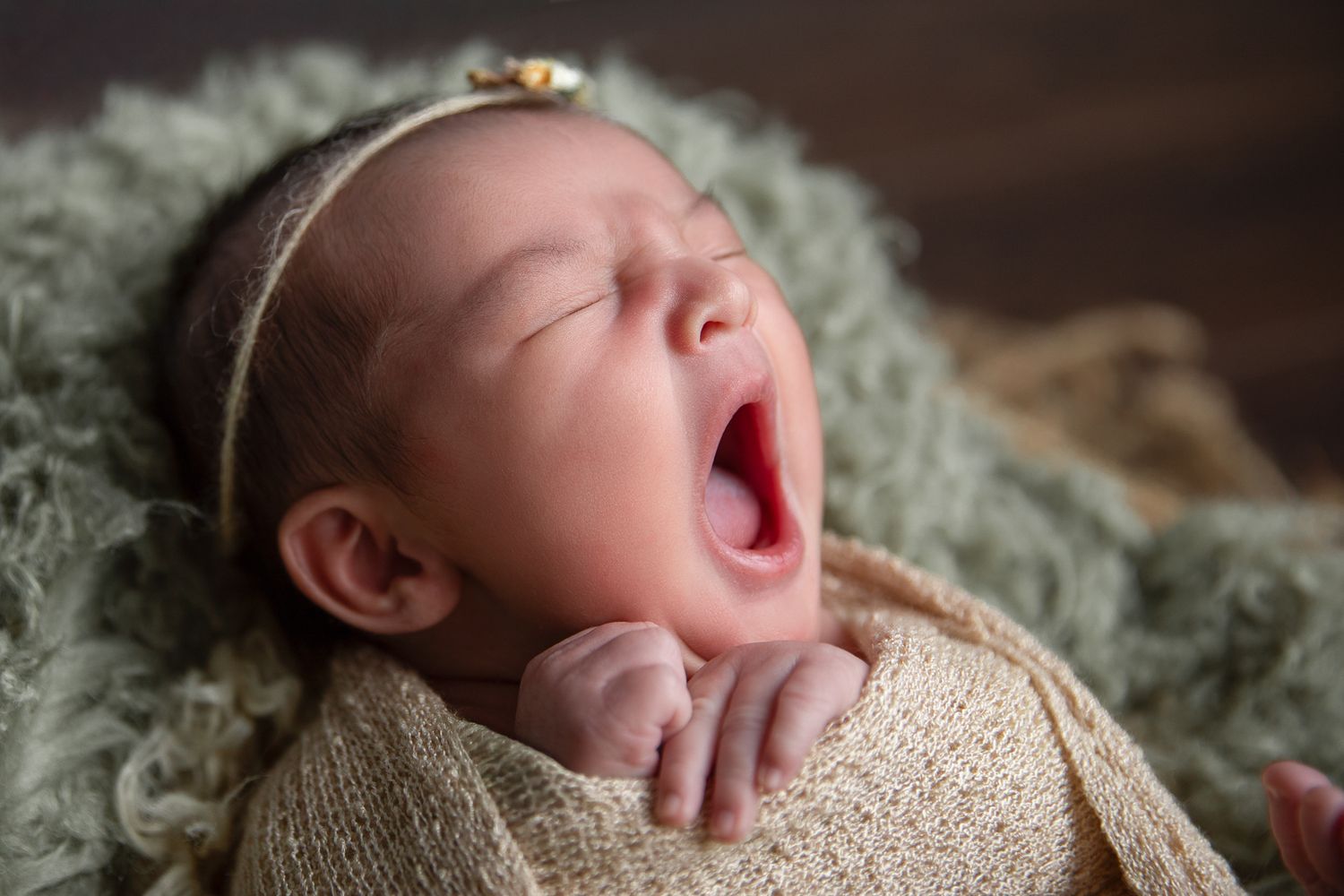 Carlsbad CA newborn photography studio offering posed baby portraits with wraps and props by Sarah Bracci Photographics.