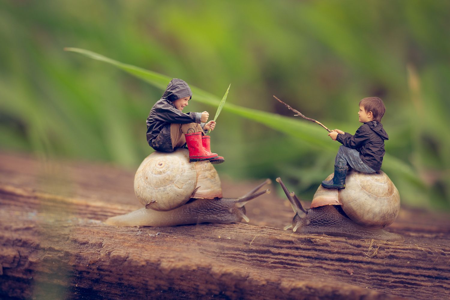 A Fallbrook Teacher/Photographer Photoshop composite with boys riding snails in a ready-to-fight battle. Title: Snail Wars