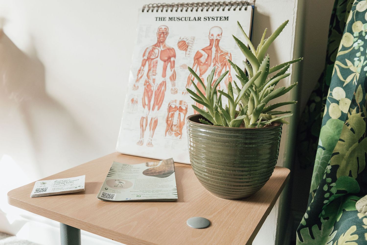 Anatomical diagram and potted plant on wooden desk in wellness setting.
