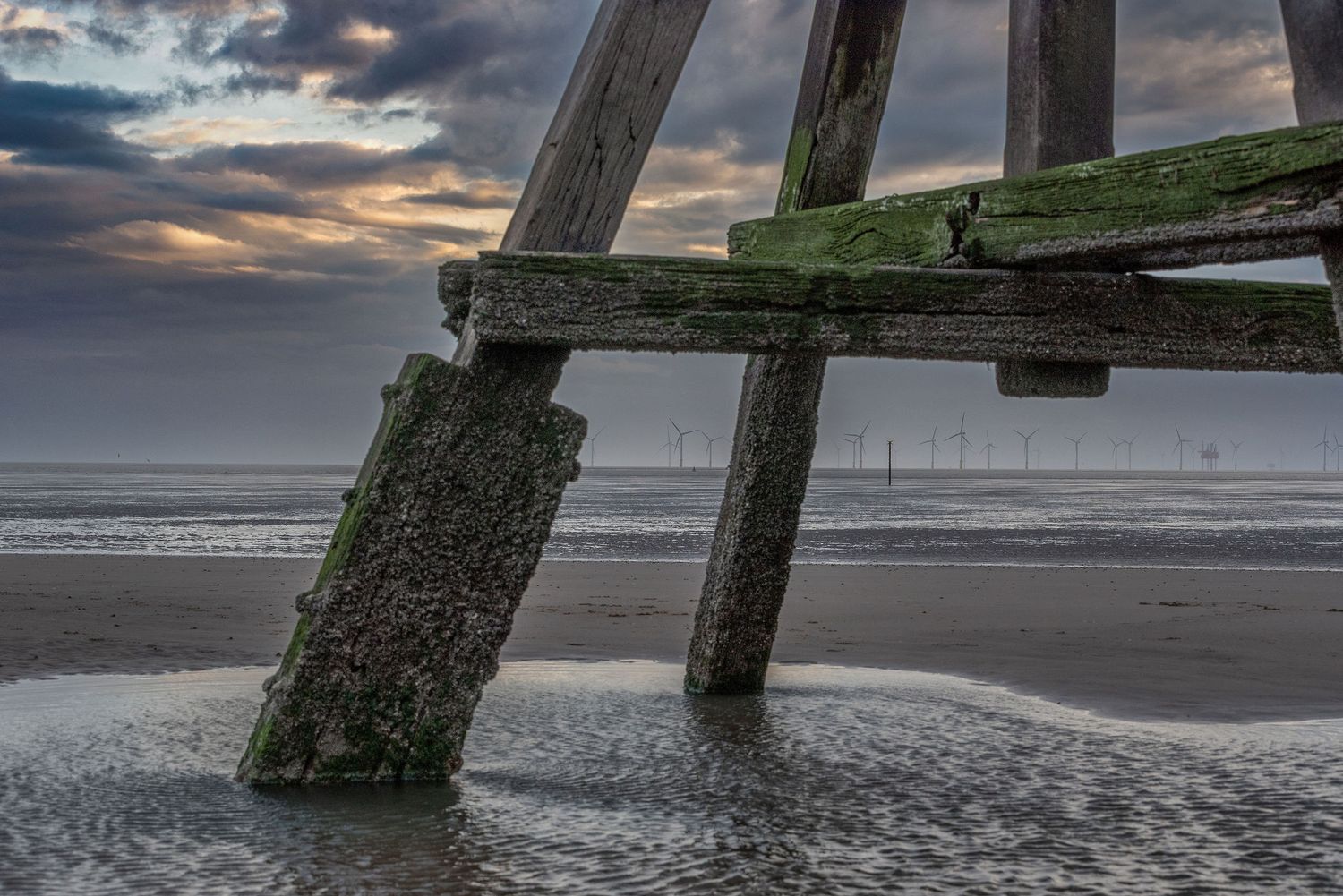 Weathered wooden pier supports covered in green algae stand on a misty beach at sunset with dramatic cloudy skies.