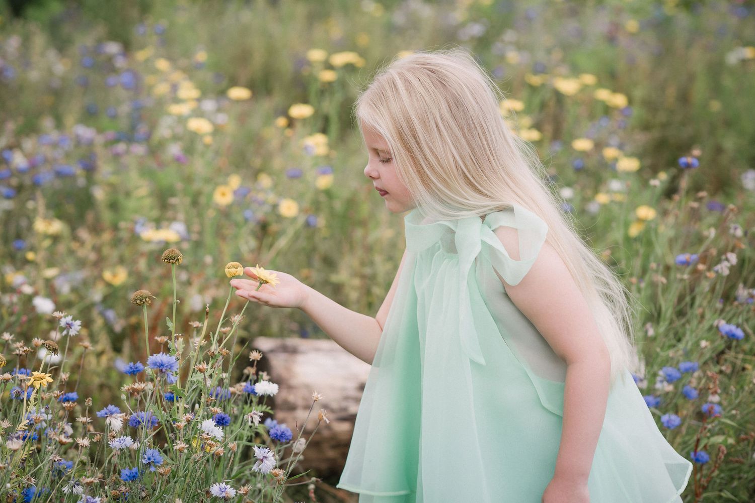 A person in a mint green dress explores a wildflower meadow filled with yellow and blue blooms on a summer day.