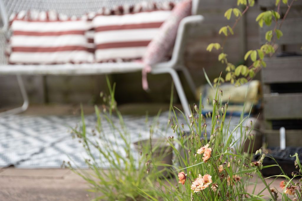 Outdoor patio with white metal chair, striped cushions, patterned rug, and delicate peach wildflowers in the foreground.