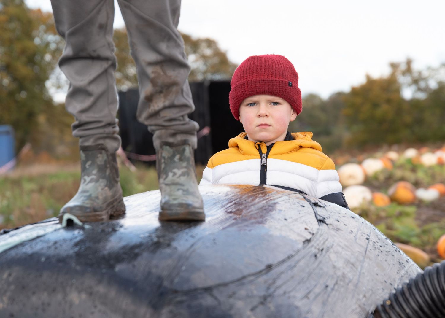 Boots stand on a large gray rock in a pumpkin patch field during autumn season.