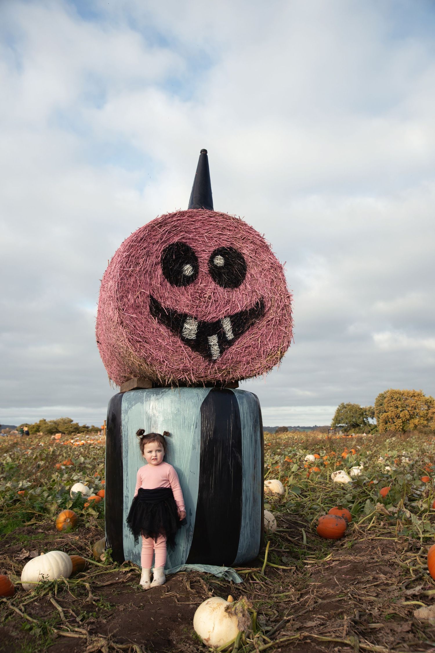 A sequence of photos showing a baby sitting inside a large pink pumpkin decoration in a pumpkin patch field.
