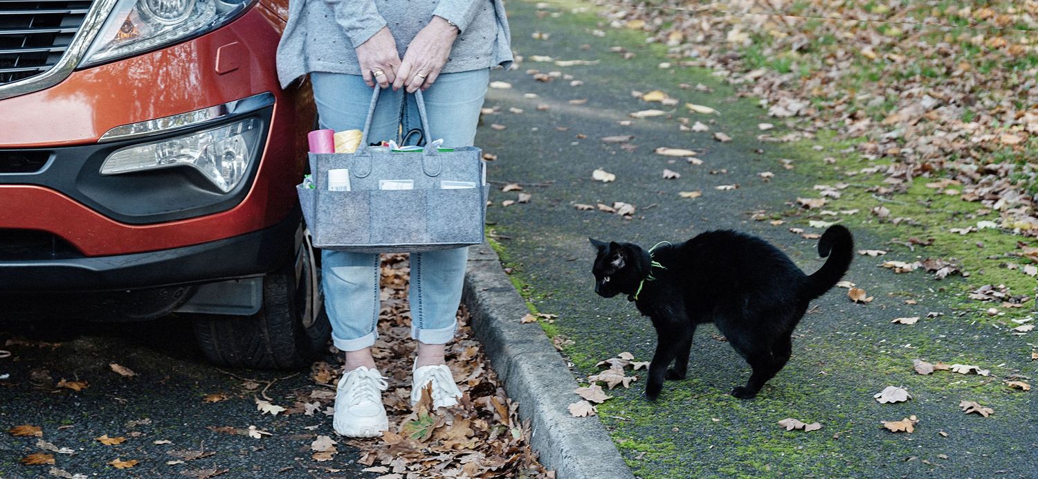Person in jeans standing next to red car with black cat walking on autumn leaves.