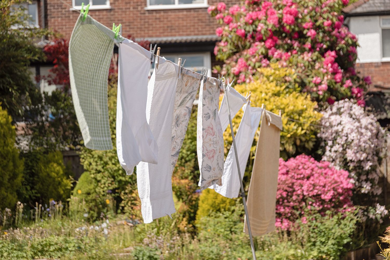 Laundry drying on a clothesline in a sunny garden with colorful pink flowers and green trees in the background.