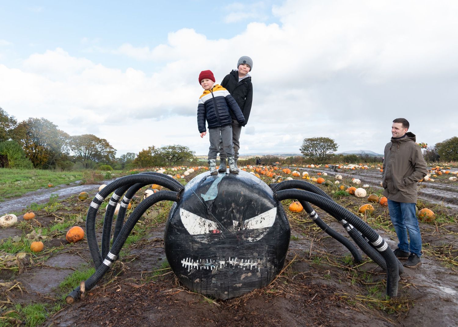 People picking pumpkins in a muddy field on a cloudy autumn day at a pumpkin patch.