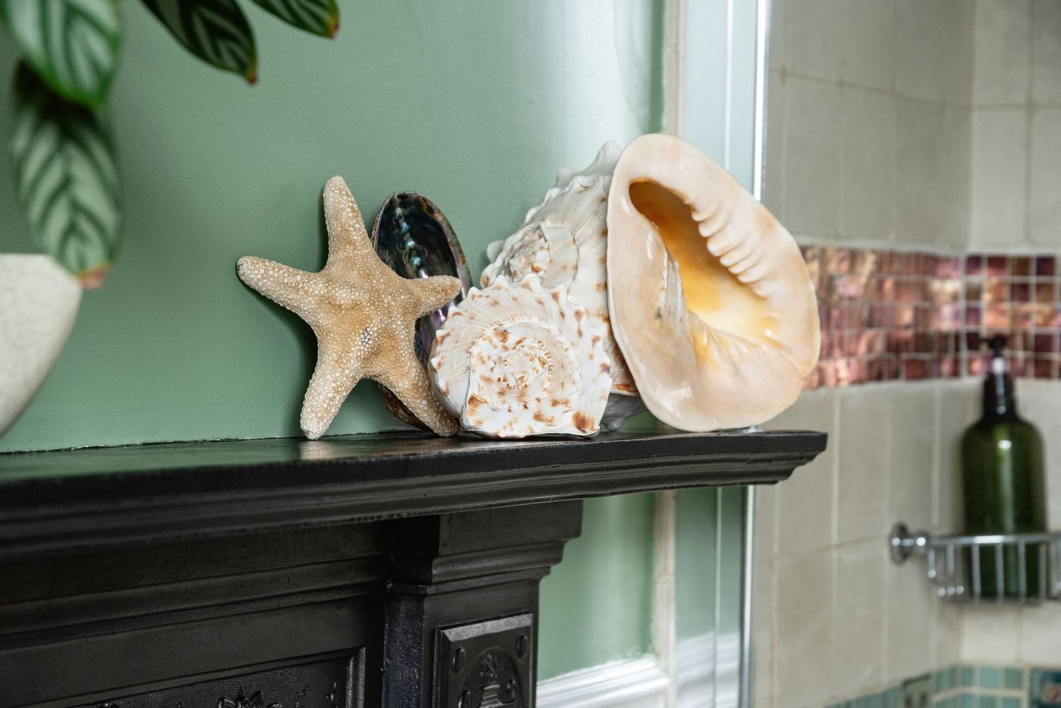 Decorative starfish and seashells displayed on a black mantelpiece in a green-walled bathroom with mosaic tile accents.