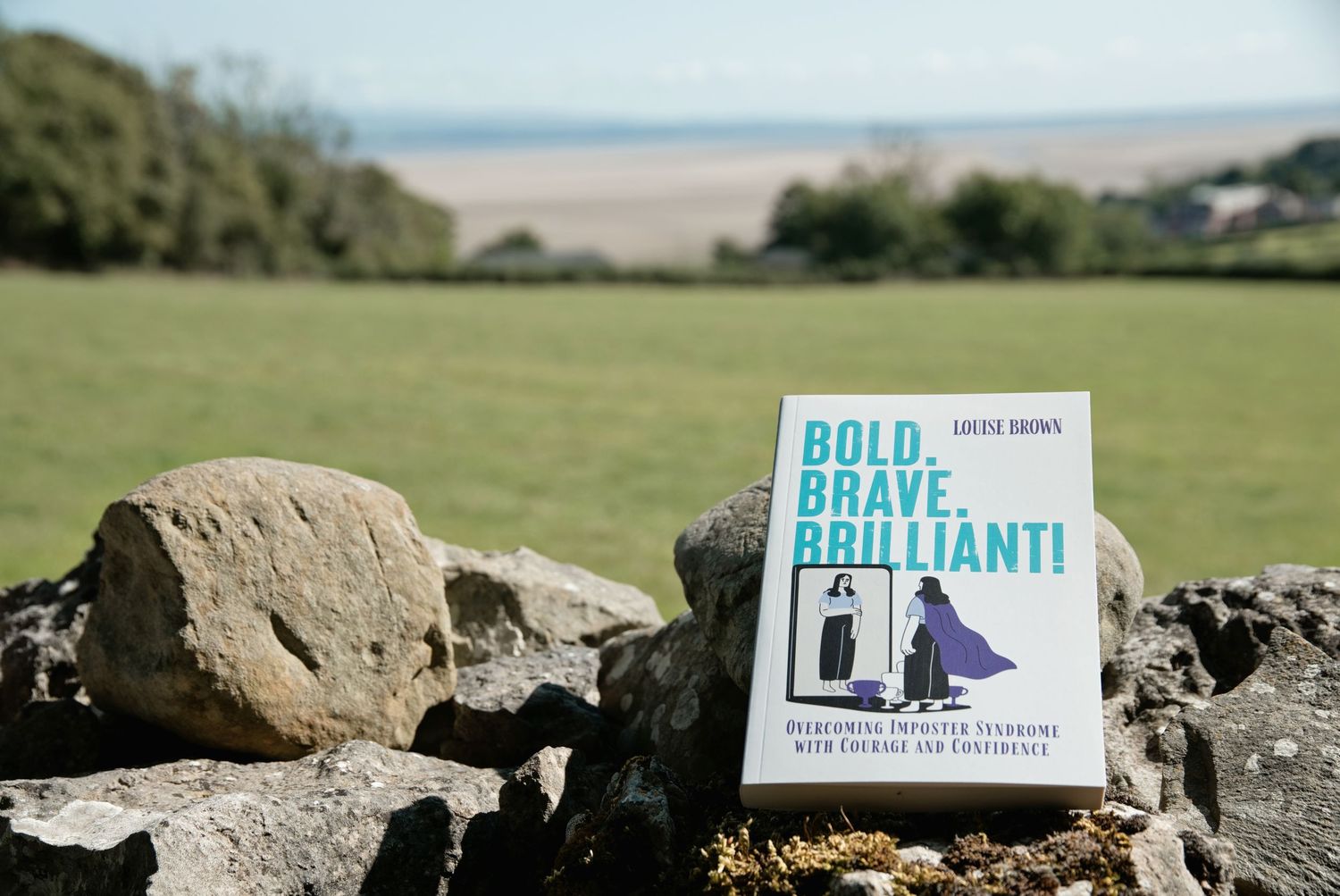 Bold, Brave, Brilliant book by Judith Brown displayed on stone wall with scenic green field and coastline background.