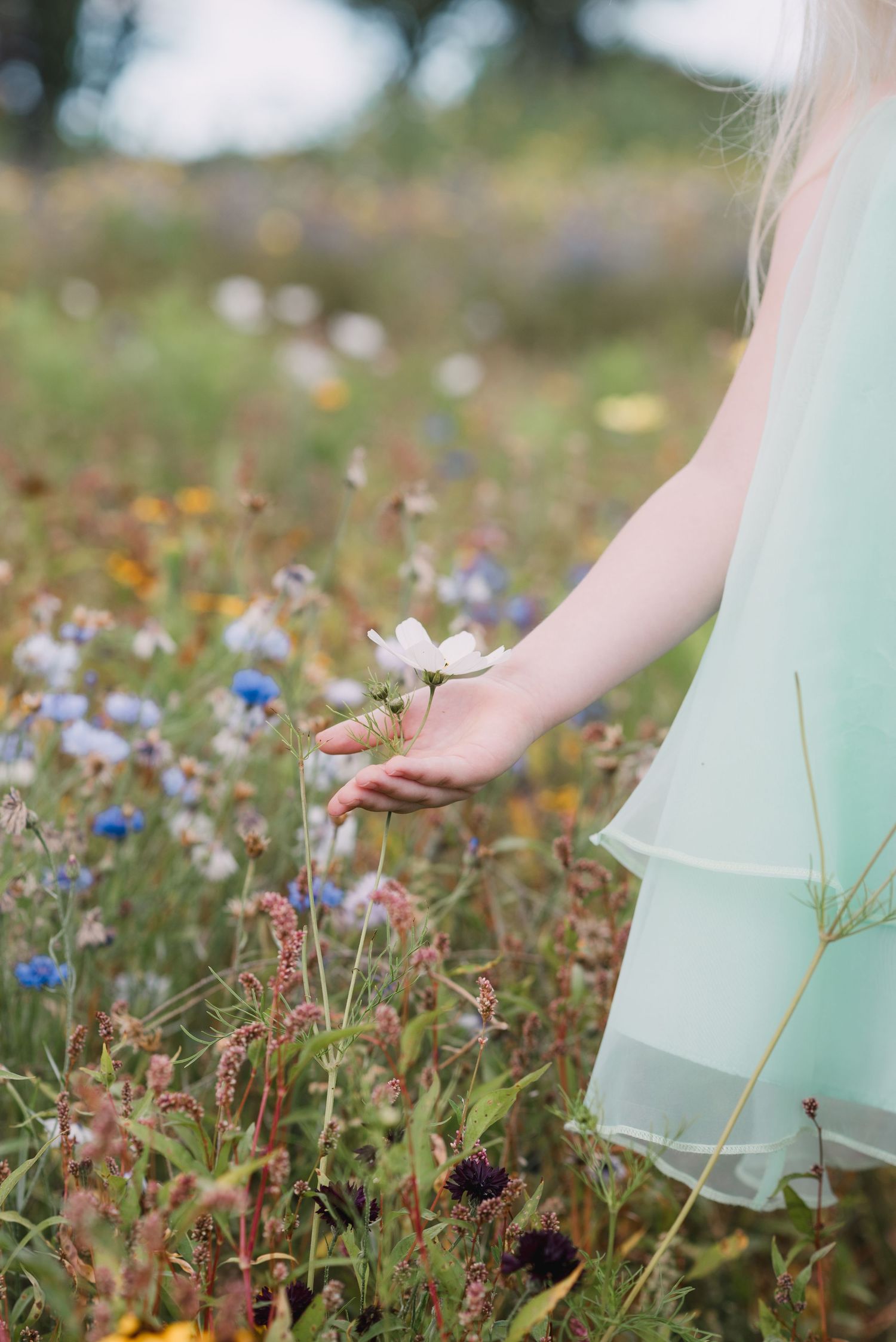 Girl in mint dress touching white wildflower in colorful meadow field.