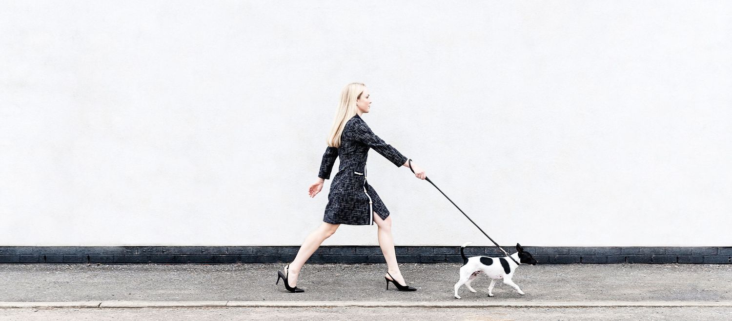 Minimalist black and white photo of someone walking a small dog on a leash.