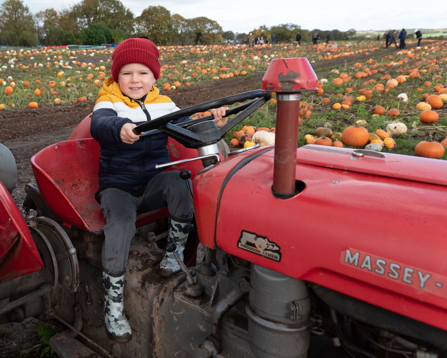 A collage of photos showing children enjoying a fall pumpkin patch visit with a red tractor and pumpkins in the background.