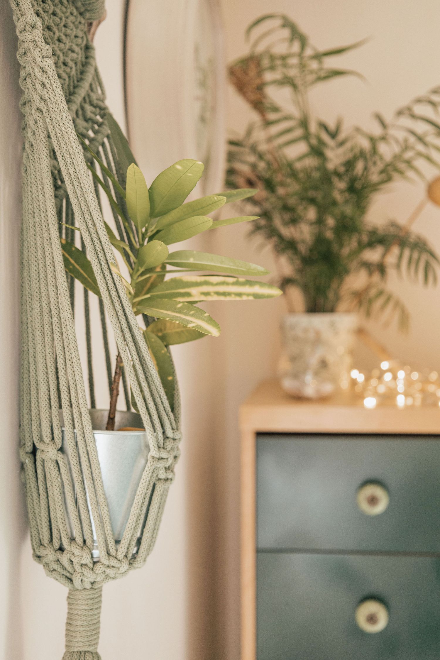Macrame plant hanger with succulent near teal dresser and fairy lights.