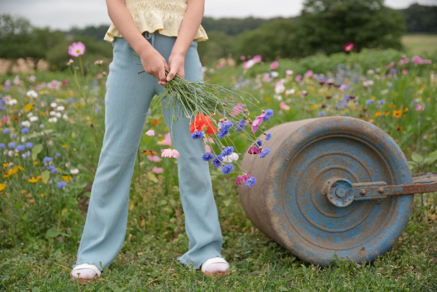 Person holding wildflowers in a colorful meadow beside a vintage garden roller on a sunny day.