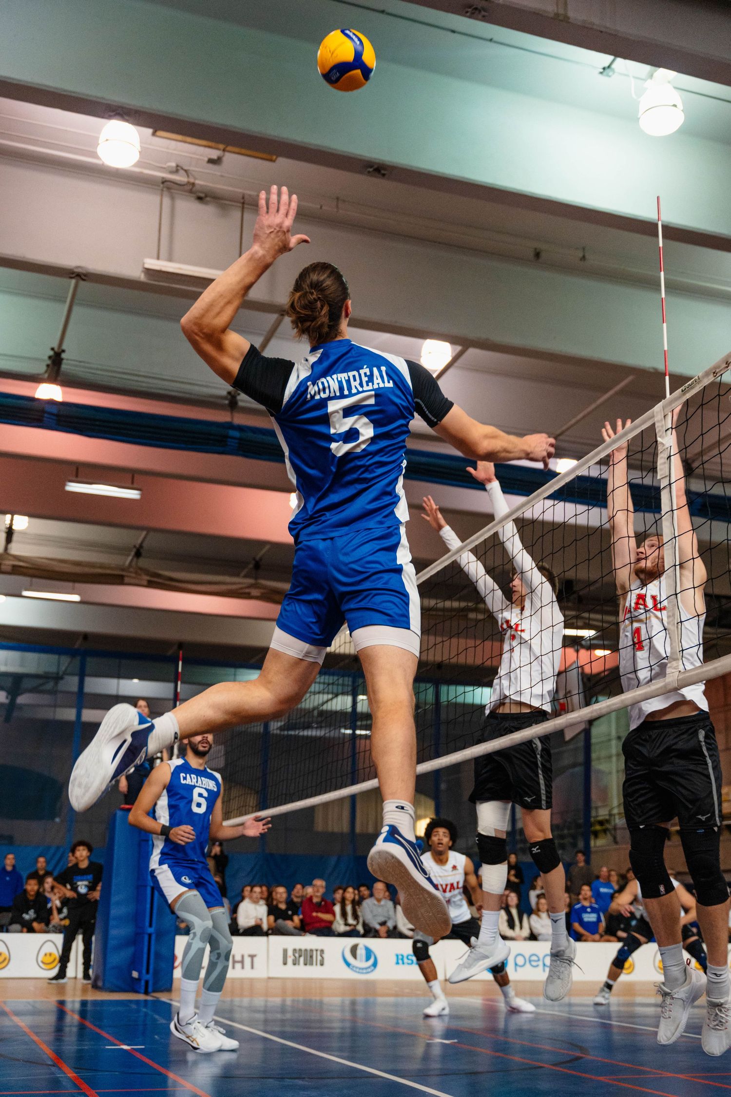 Photographie sportive, Volleyball masculin, Carabins