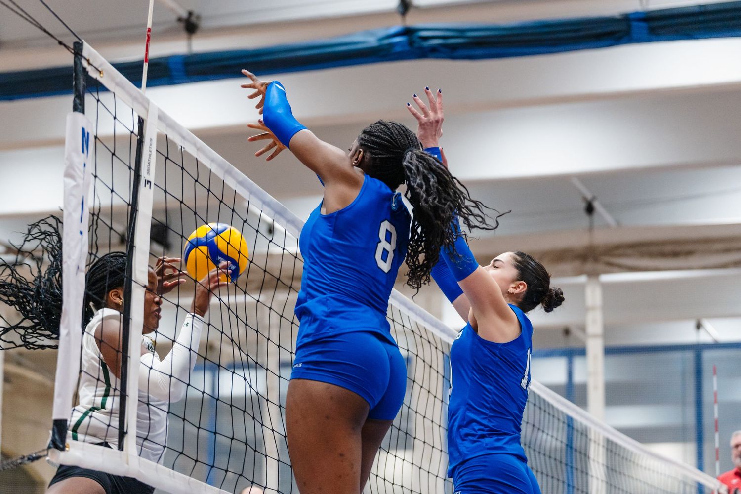 Carabins, Volleyball