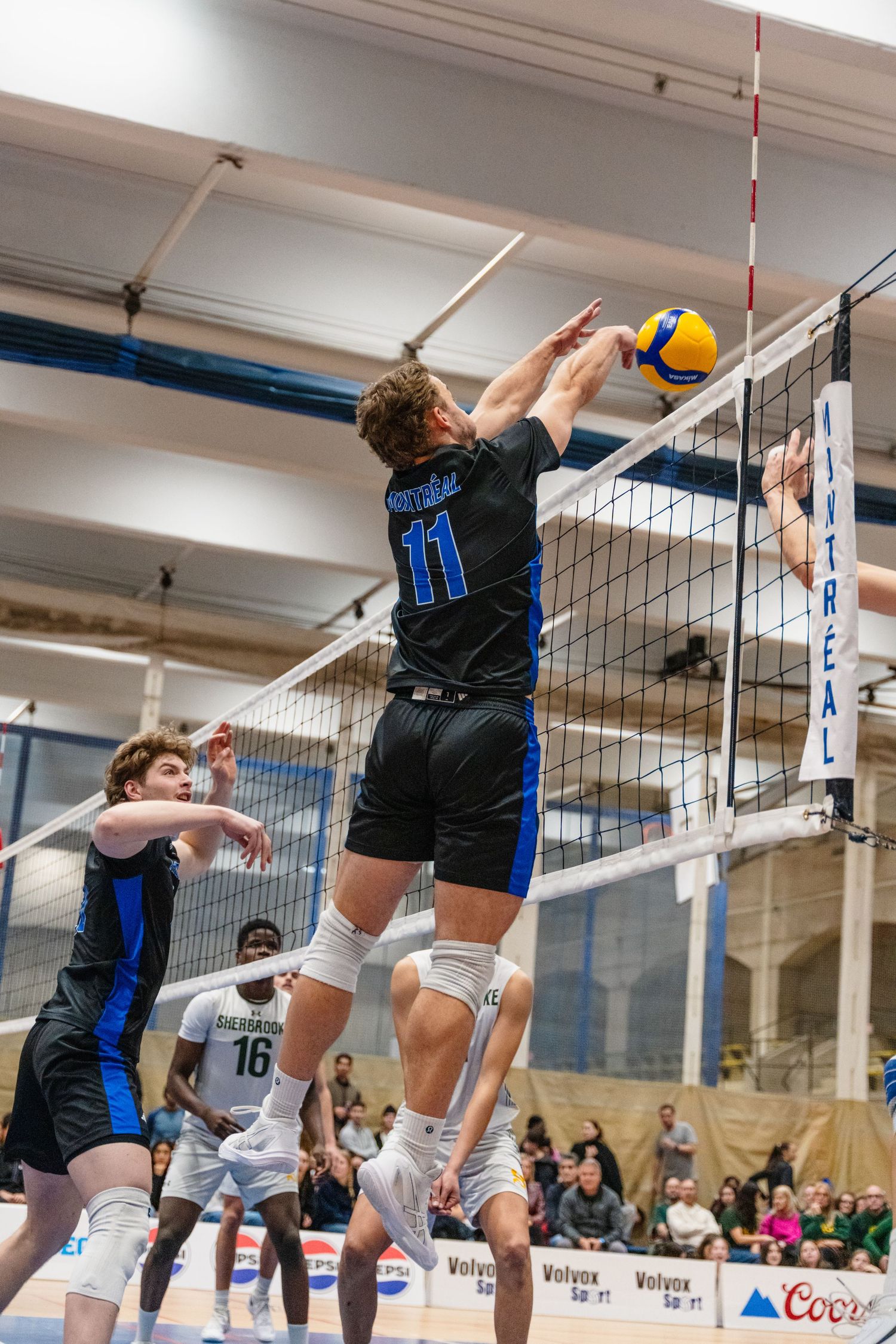 Carabins, Volleyball