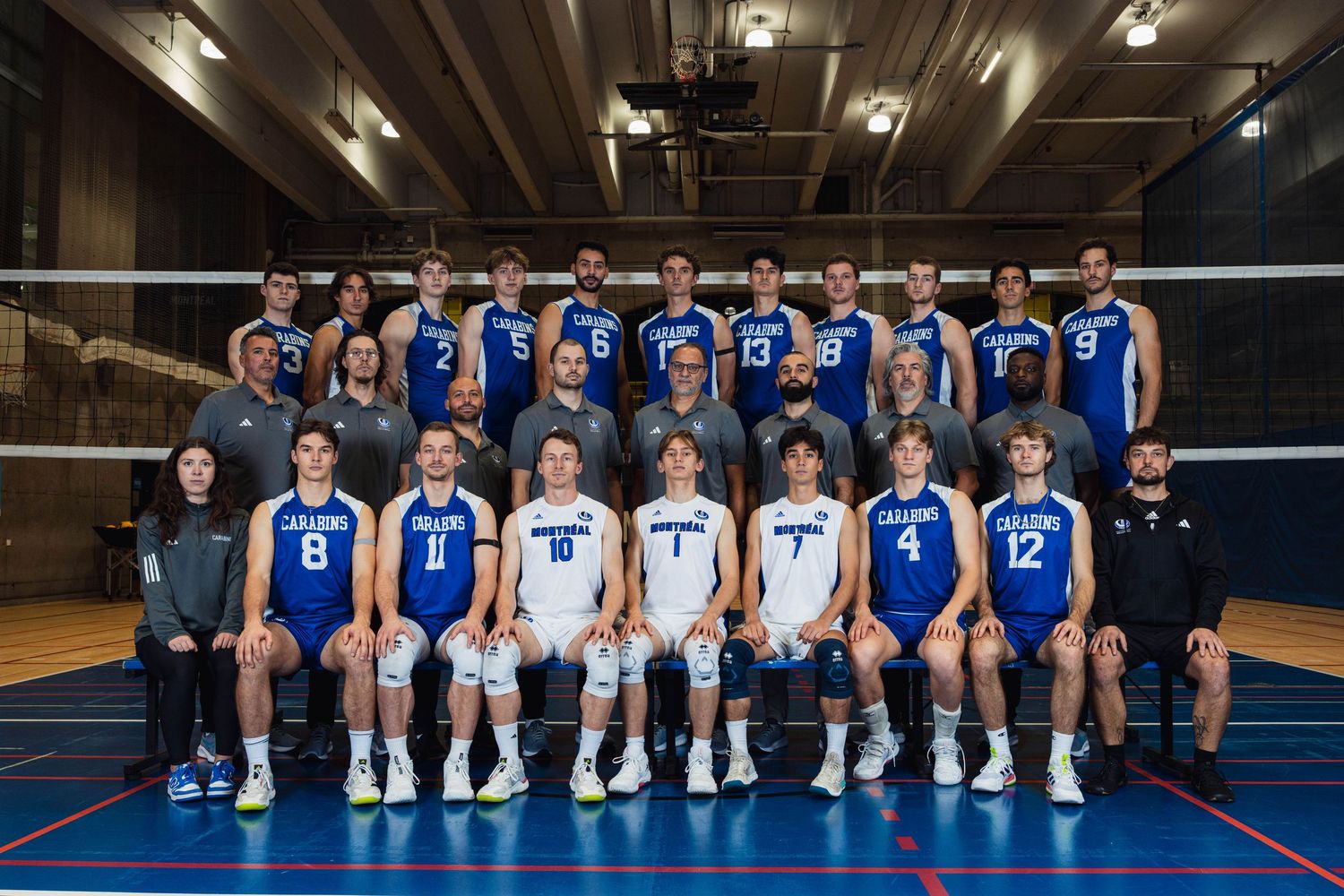 Carabins, Volleyball masculin