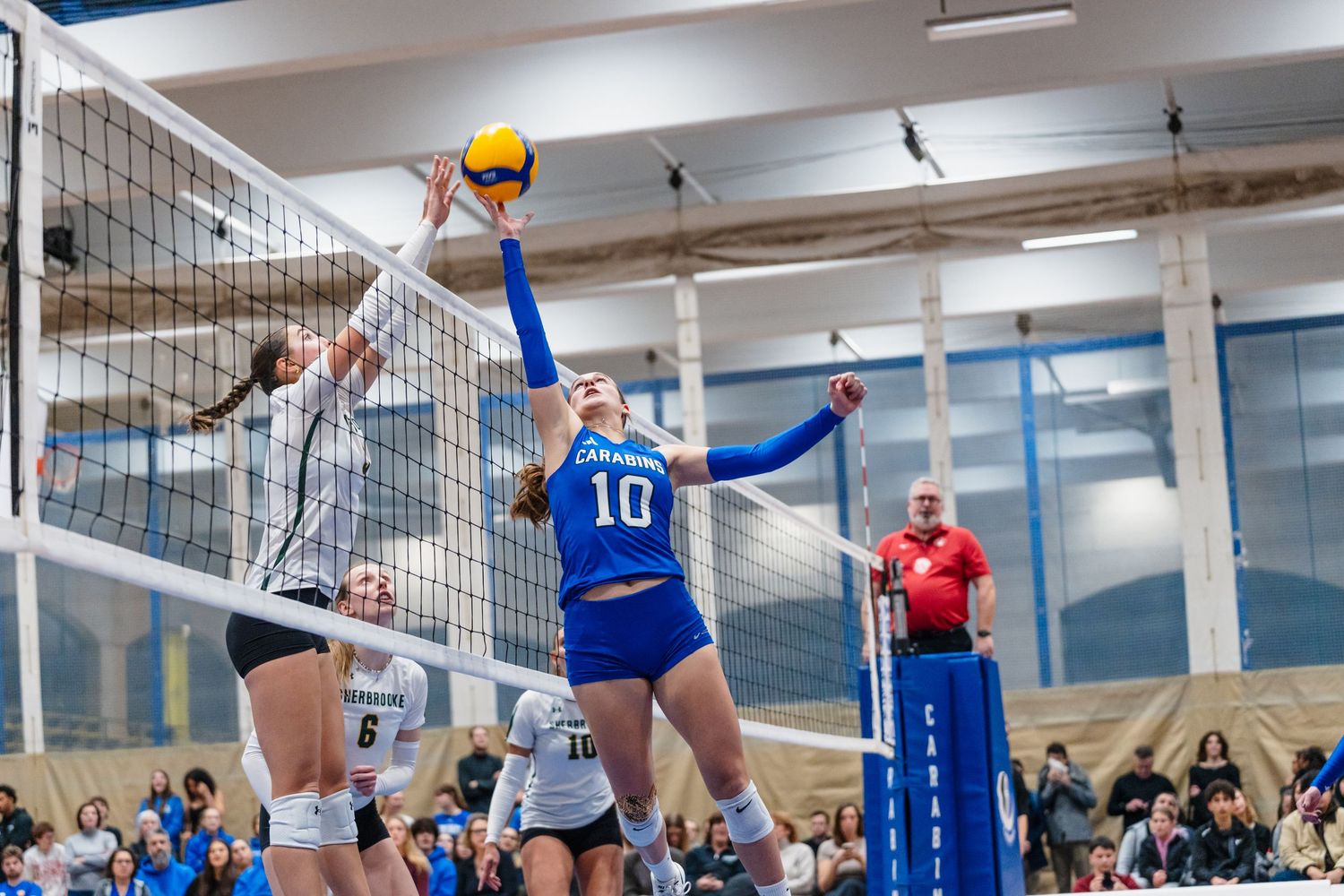Carabins, Volleyball
