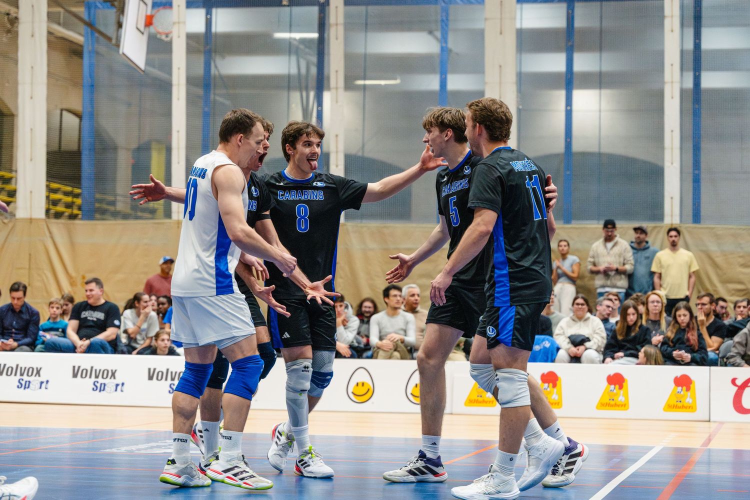 Carabins, Volleyball