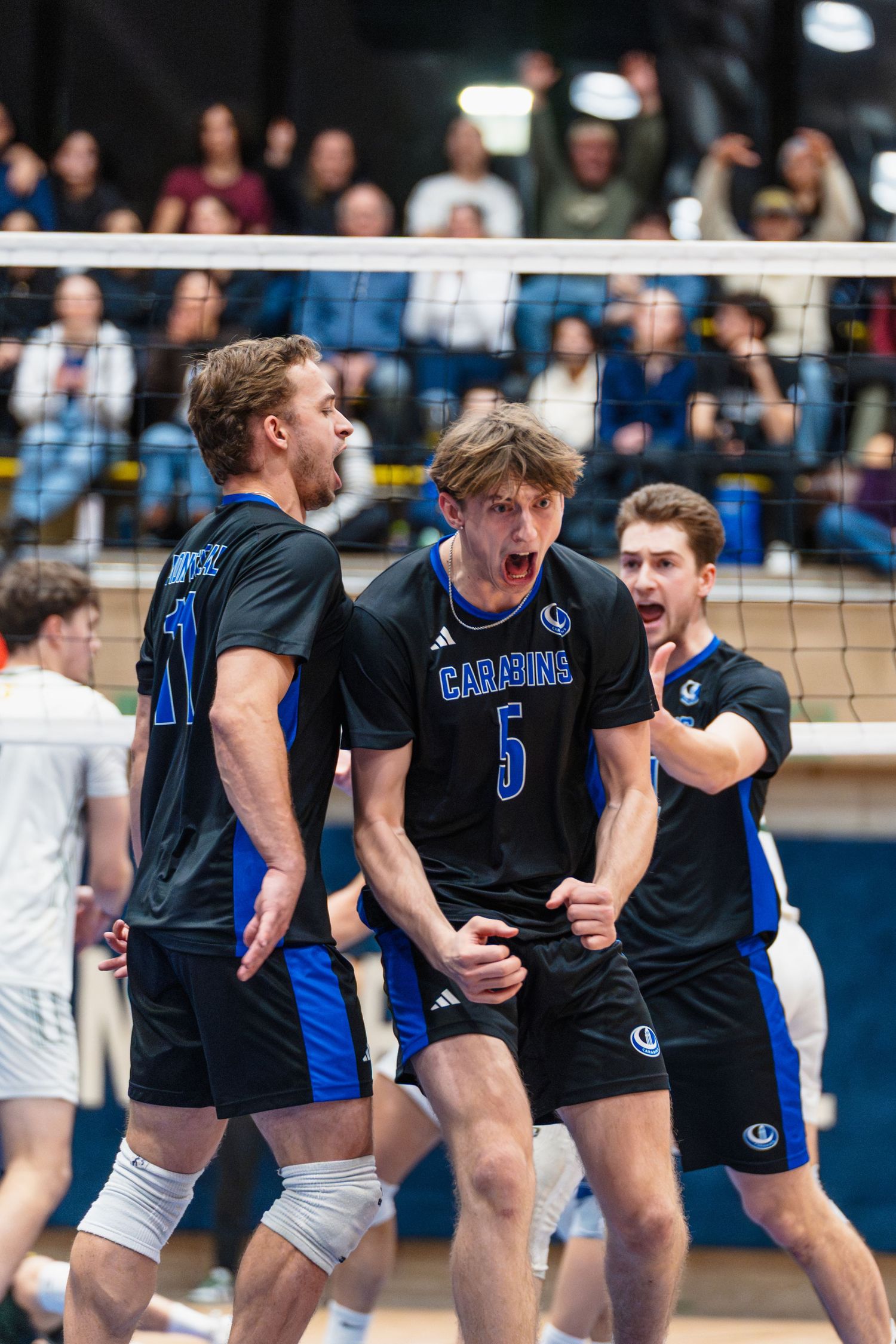 Carabins, Volleyball