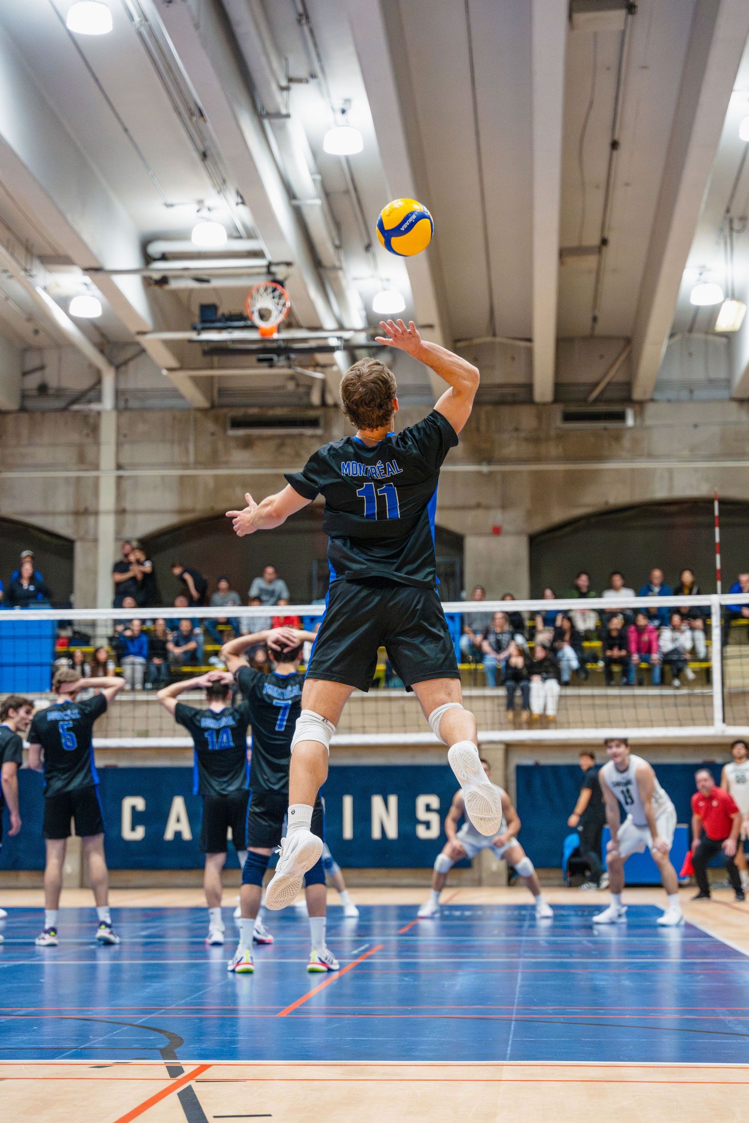 Carabins, Volleyball