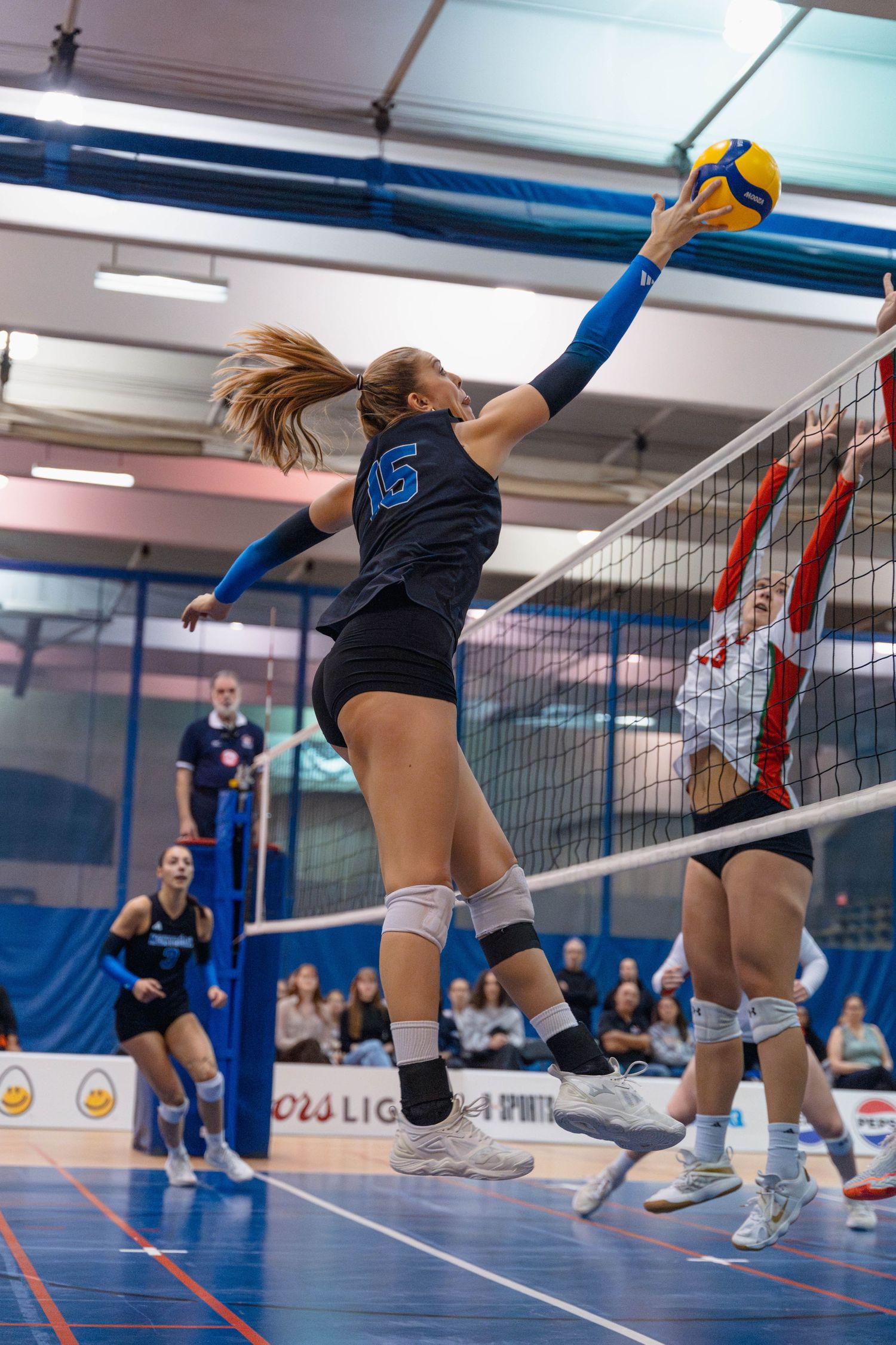 Photographie sportive, Volleyball masculin, Carabins de l'Université de Montréal