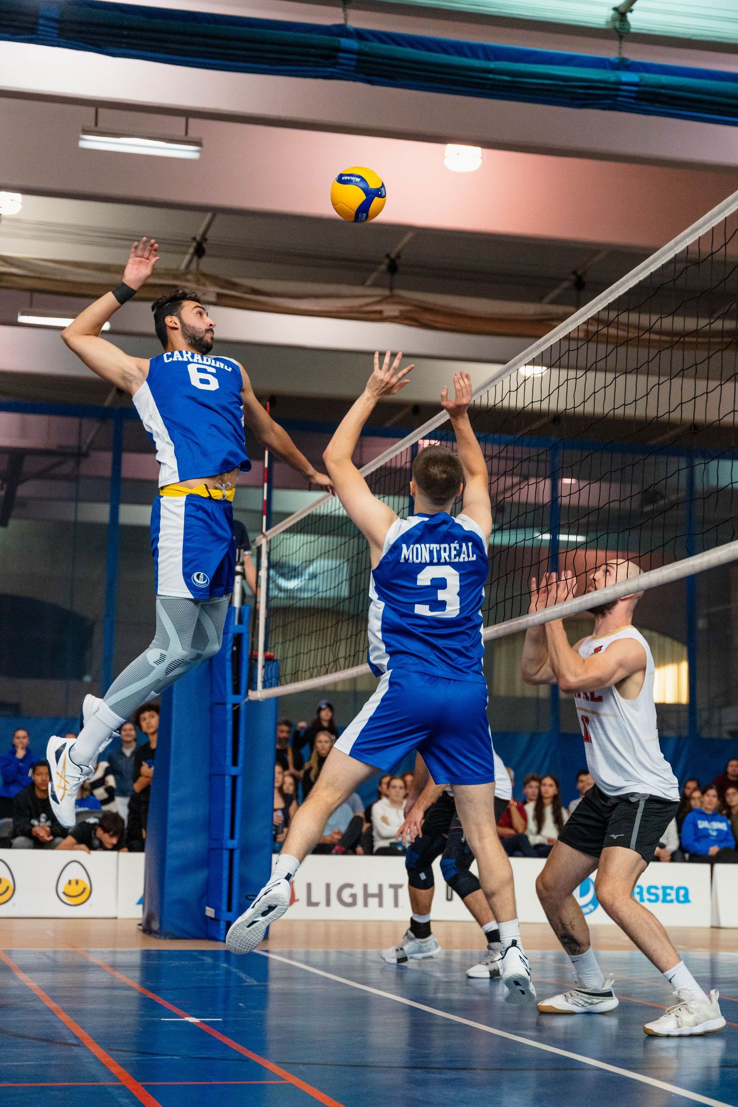 Photographie sportive, Volleyball masculin, Carabins