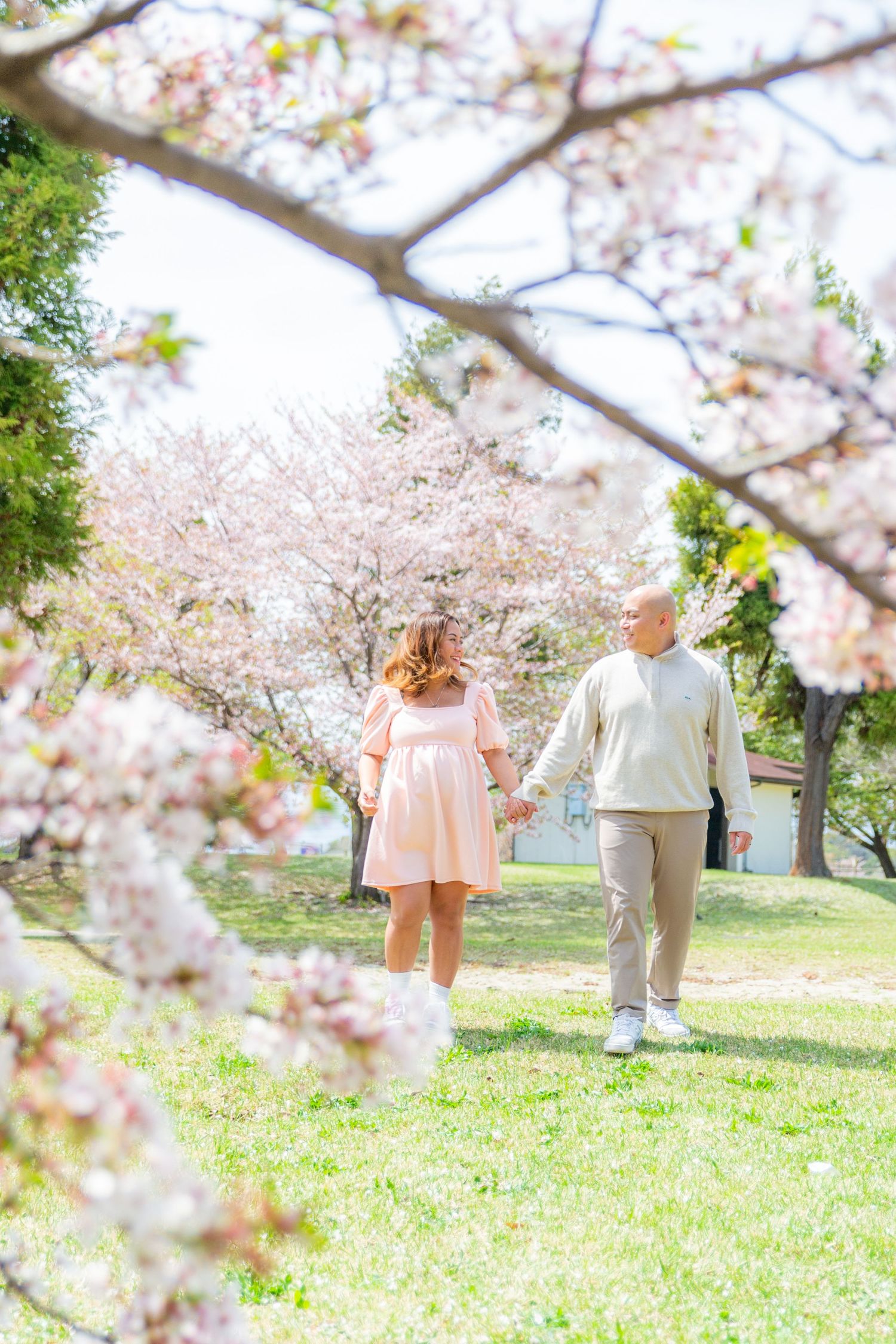 A couple holding hands while walking through a blooming cherry blossom garden on a sunny spring day.