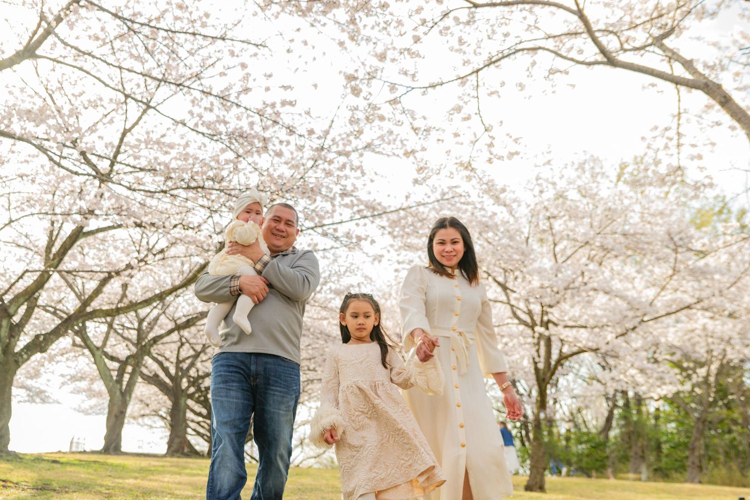 A group enjoys a springtime walk beneath blooming cherry blossom trees in a park setting.