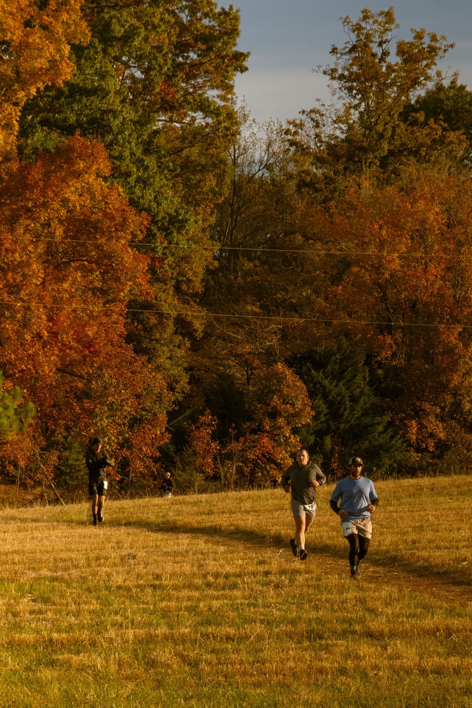 People walking through a golden autumn field with vibrant orange and green trees in the background during sunset.