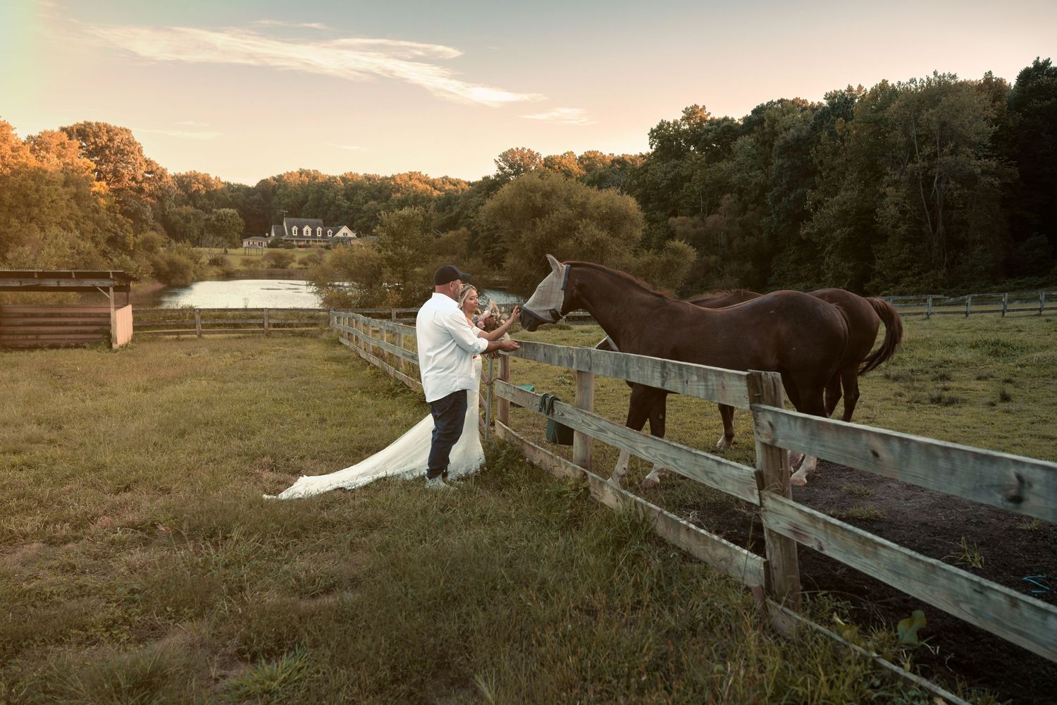 Bride and groom share a quiet moment beside a wooden fence as a brown horse leans in, with golden autumn trees and a pond at sunset.