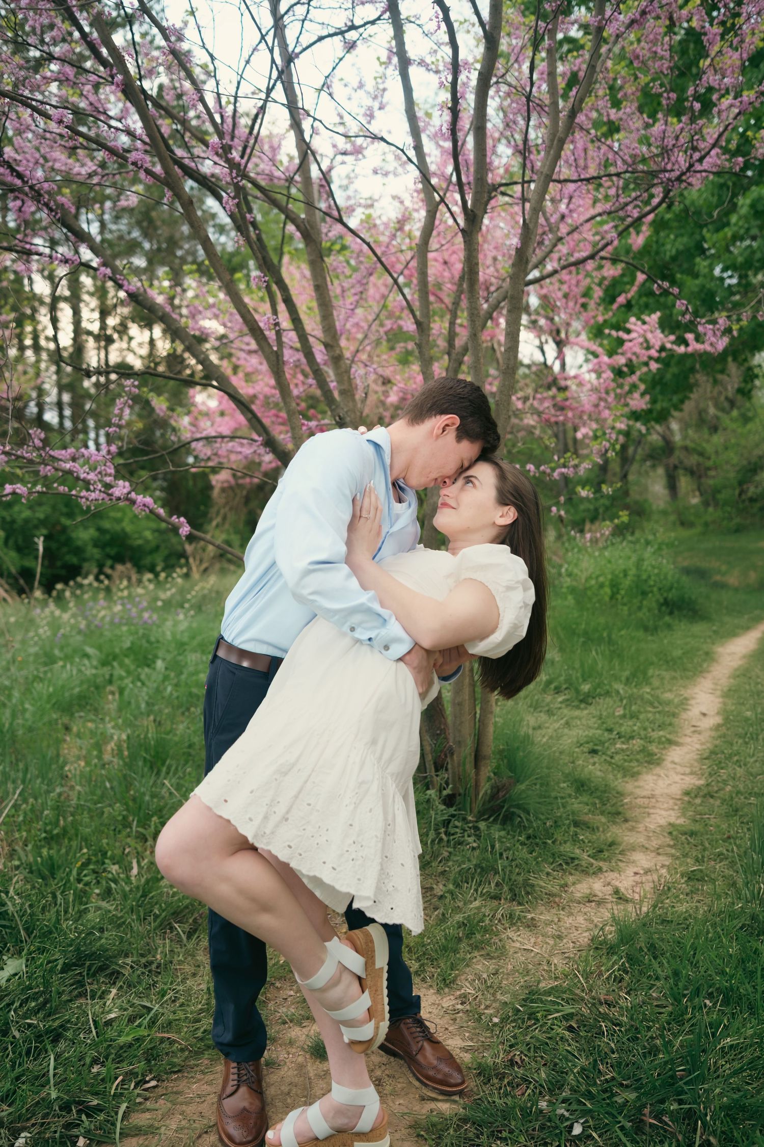 Couple sharing a romantic dip kiss under blooming pink redbud tree on a scenic garden path in spring.