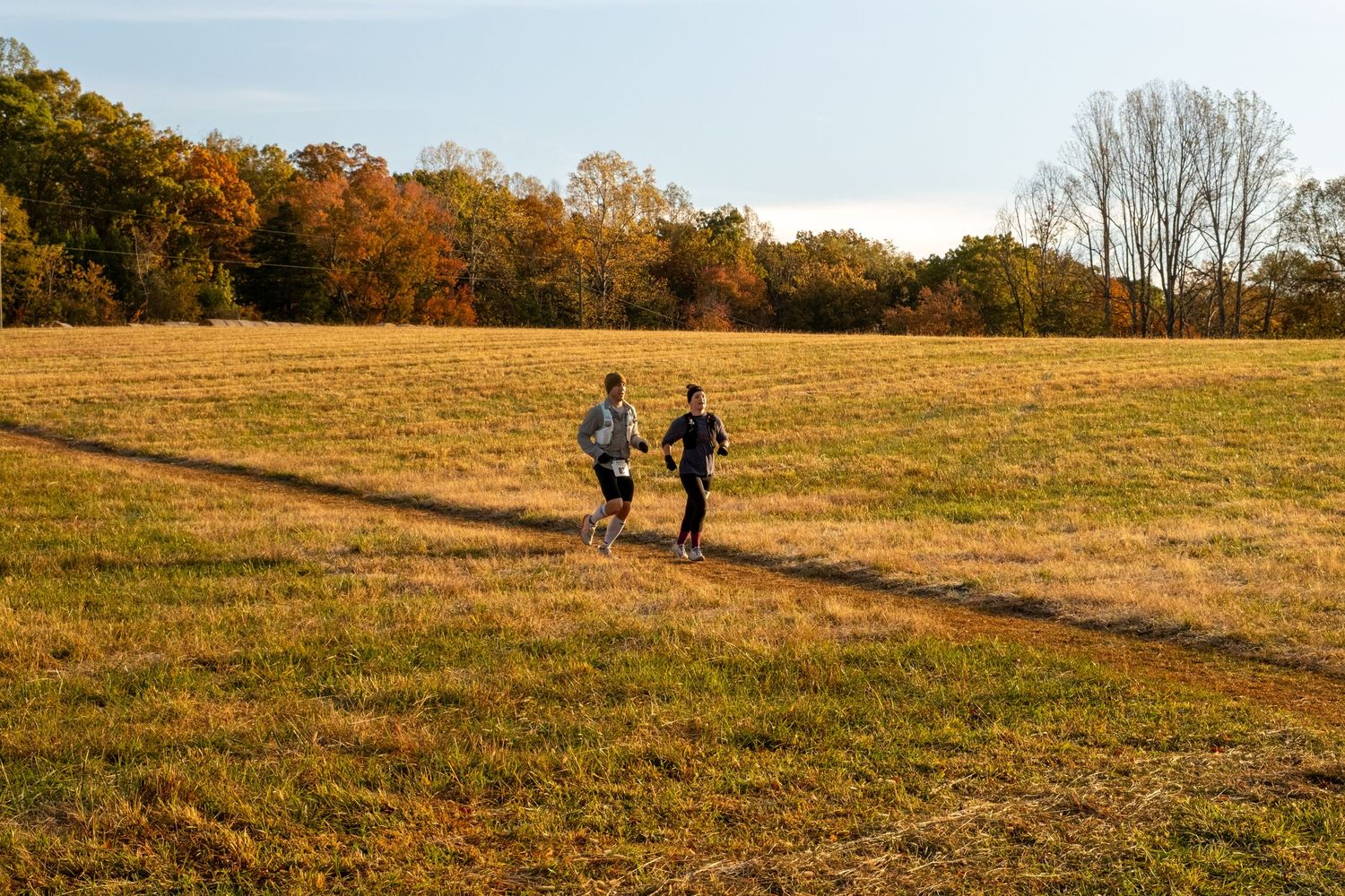 Two silhouetted figures walk across a golden autumn field at sunset with long shadows stretching behind them.