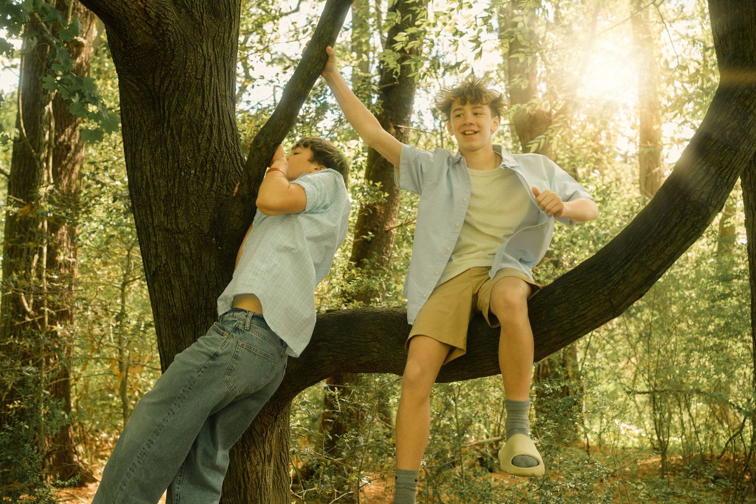 Two boys playing and laughing on a large tree branch in a sunny forest setting.