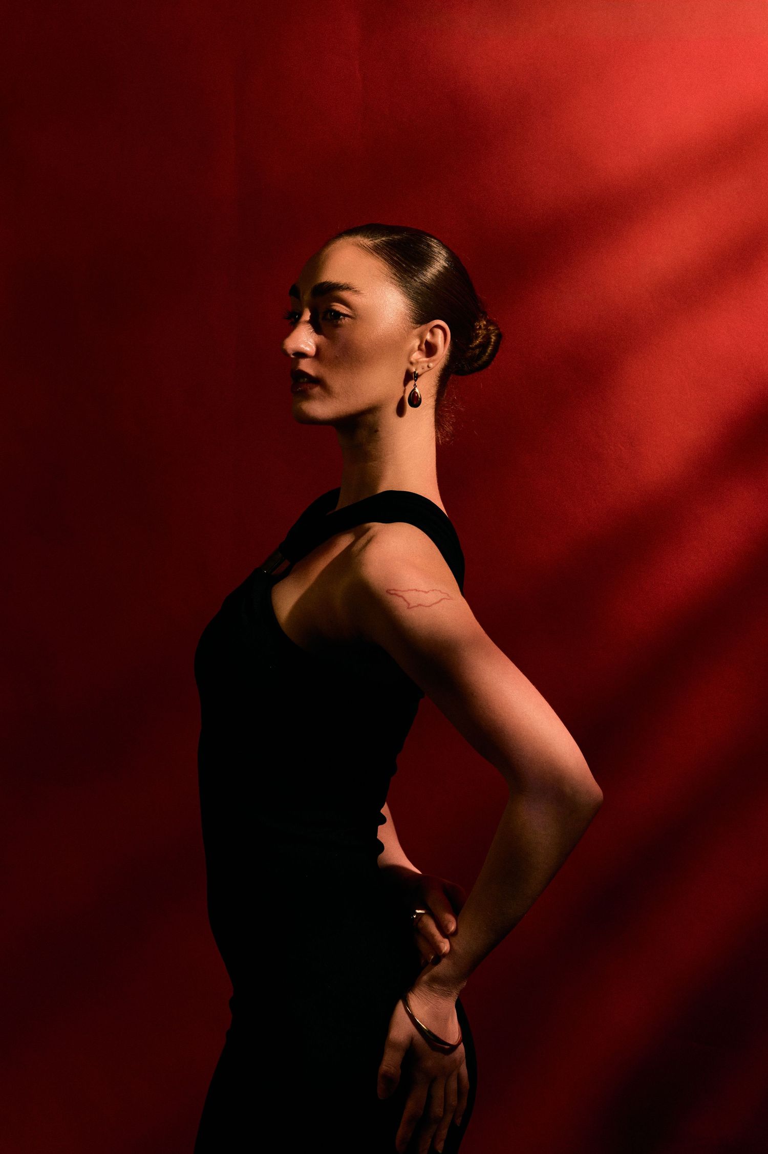 Dramatic silhouette portrait against red background with striking shadows and lighting.