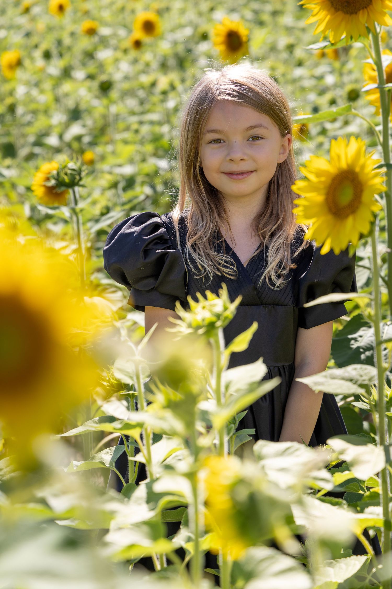 Lifestyle portrait of a young blonde girl in sunflower fields